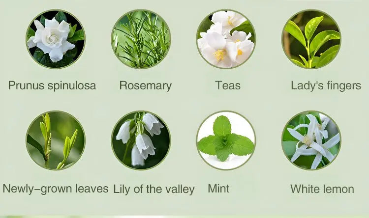 Automatic Diffuser Aromatherapy