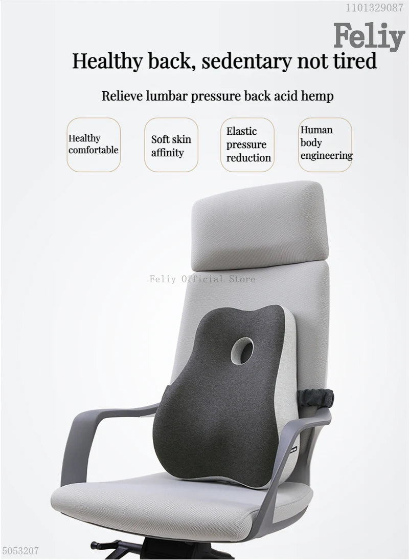 Cushion Back Orthopedic Pillow