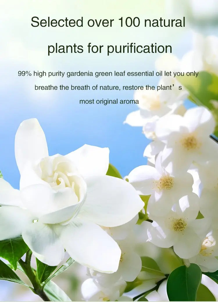 Automatic Diffuser Aromatherapy