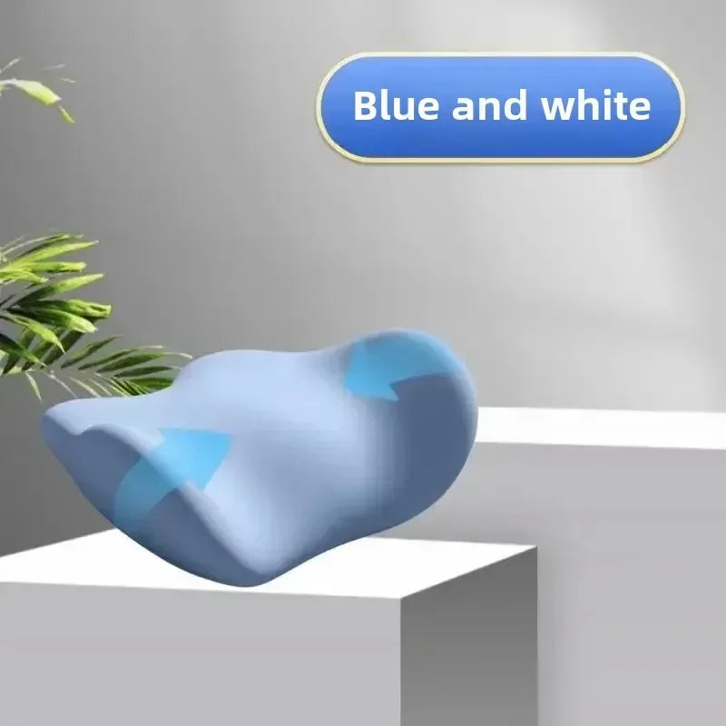 Special Lumbar Support Cushion